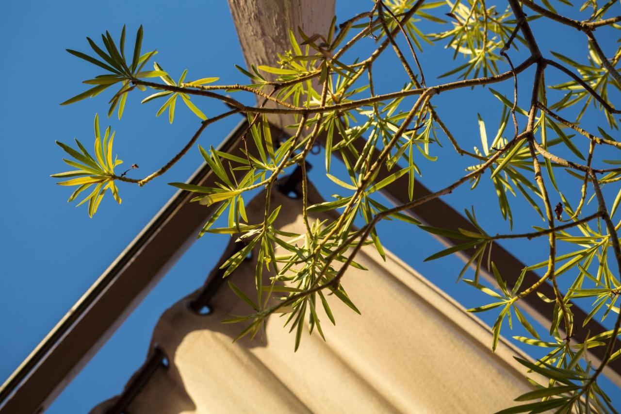 Riad El Maktoub Marrakesh Exterior photo